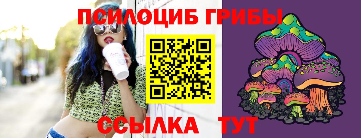 Псилоцибиновые грибы GOLDEN TEACHER  Вход с VPN  Родники  Псилоцибиновые грибы Psilocybe 